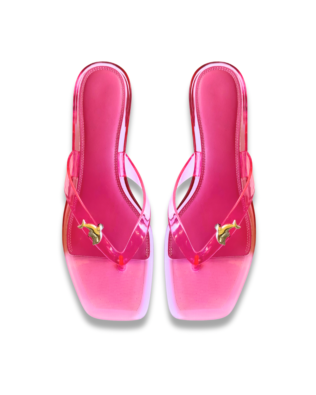 Dolphin Arcade Shoe Clips (pair) — Made to Order