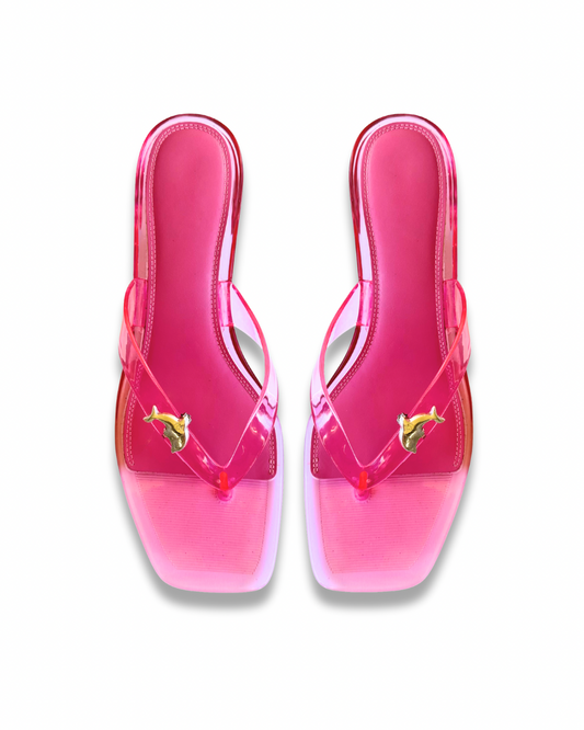 Dolphin Arcade Shoe Clips (pair) — Made to Order